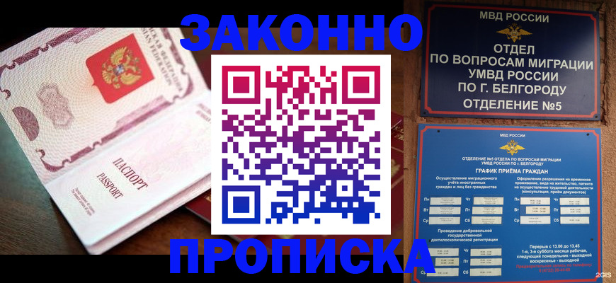 временная регистрация для школы в Никольском